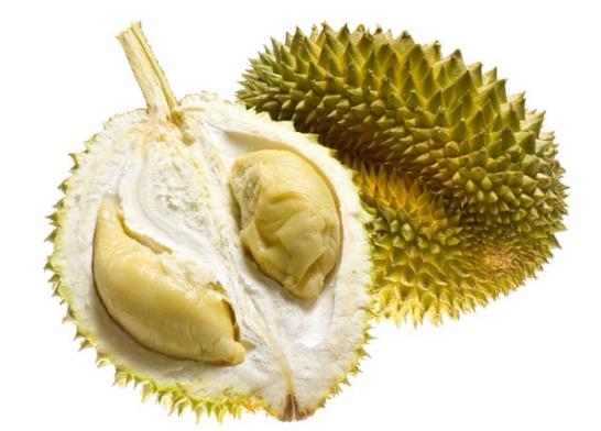 榴蓮切開不熟怎么快速催熟?榴蓮怎么看熟沒熟?