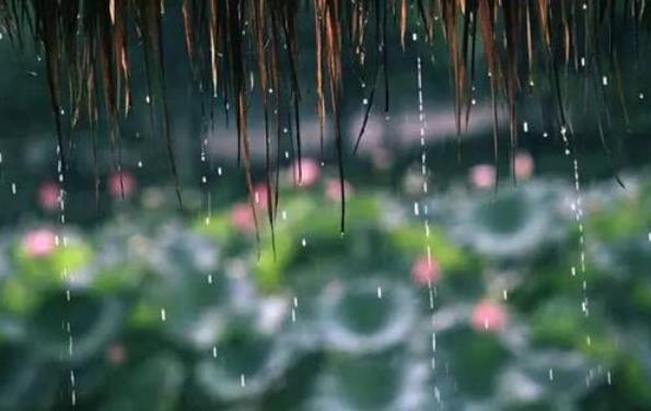 梅雨季節(jié)是什么時(shí)間,在什么節(jié)氣之間,梅雨季節(jié)分布在哪些省
