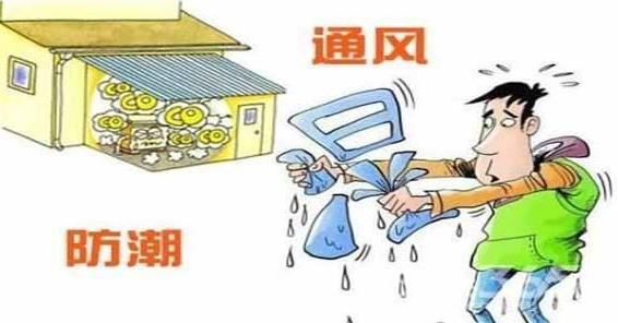 梅雨季節(jié)是什么時(shí)間,在什么節(jié)氣之間,梅雨季節(jié)分布在哪些省