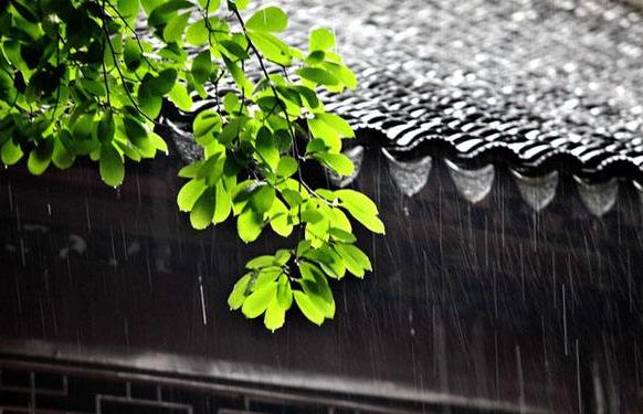 梅雨季節(jié)是什么時(shí)間,在什么節(jié)氣之間,梅雨季節(jié)分布在哪些省