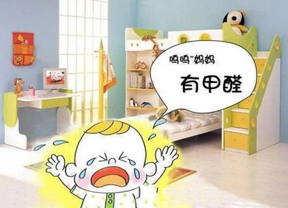 吊蘭和綠蘿具有凈化環(huán)境的作用,吊蘭和綠蘿哪個吸甲醛更強(qiáng)