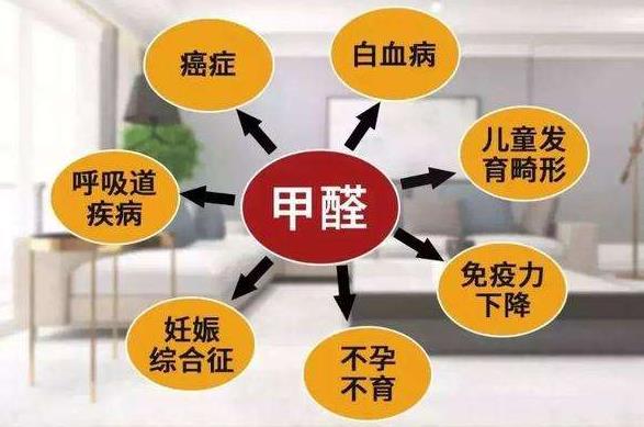 吊蘭和綠蘿具有凈化環(huán)境的作用,吊蘭和綠蘿哪個吸甲醛更強(qiáng)