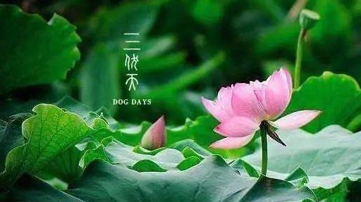 夏至三庚入伏是怎么計(jì)算的?2021年具體什么時(shí)候入伏什么時(shí)候出伏?
