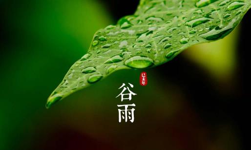 谷雨過后是什么節氣 谷雨之后還會冷嗎