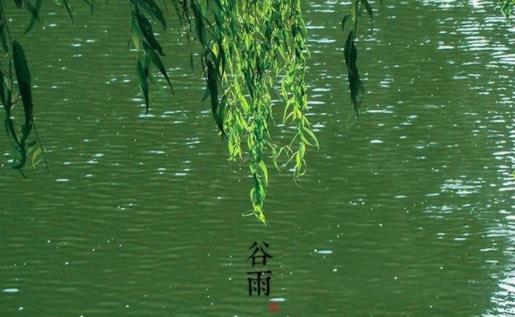 谷雨過后是什么節氣 谷雨之后還會冷嗎