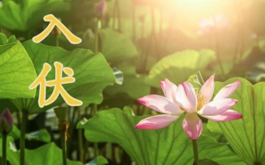 入伏梅雨就結束了嗎 2021年入伏時間怎么有兩個