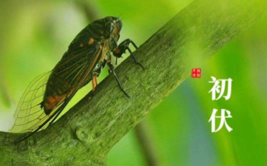 入伏梅雨就結束了嗎 2021年入伏時間怎么有兩個