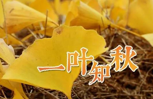 東北立秋后天氣會變成怎樣?立秋后天氣有什么變化嗎?