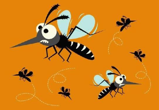 蚊子什么時(shí)候最活躍?蚊子喜歡待在屋里什么地方