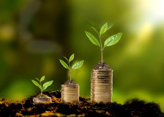 2021年8月白酒醫療基金可以抄底嗎?基金最大回撤率高好還是低好