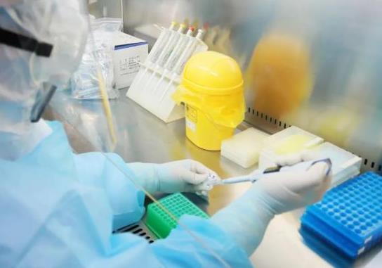 核酸檢測是怎么取樣的?取核酸檢測結果需要帶發票嗎