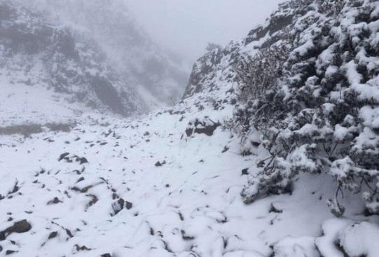 下雪車牌被擋住會(huì)不會(huì)被違章拍照?下雪天車上的雪要掃掉嗎