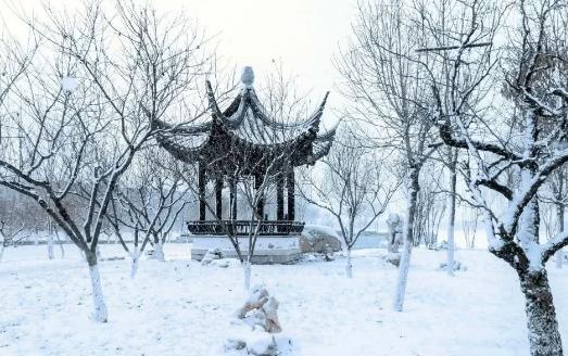 下雪車牌被擋住會(huì)不會(huì)被違章拍照?下雪天車上的雪要掃掉嗎