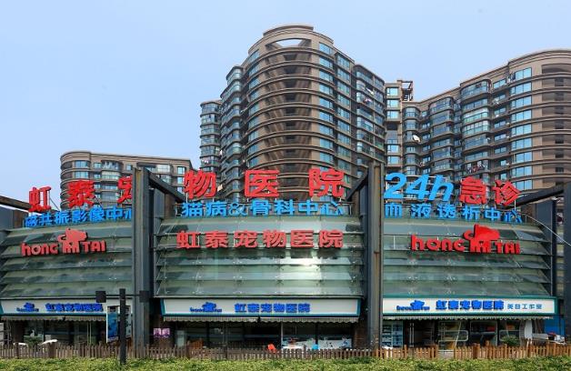 杭州負責的寵物醫院:虹泰寵物醫院醫師團隊人物訪談專訪篇