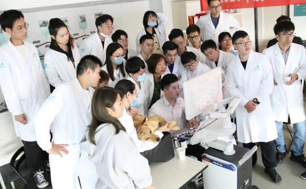杭州負責的寵物醫院:虹泰寵物醫院醫師團隊人物訪談專訪篇