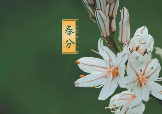 2022春分過后天氣多久變暖?2022年春分祭祀要放鞭炮嗎