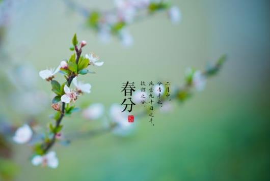 2021年春分為什么要放風箏?2021年春分節氣能遷墳嗎