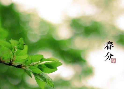 2021年春分為什么要放風箏?2021年春分節氣能遷墳嗎