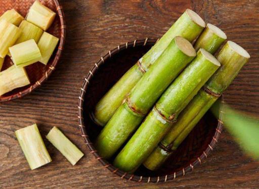 2022春節(jié)甘蔗放在門的什么地方?過年買甘蔗是什么意思