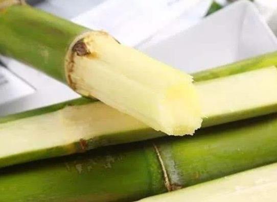 2022春節(jié)甘蔗放在門的什么地方?過年買甘蔗是什么意思