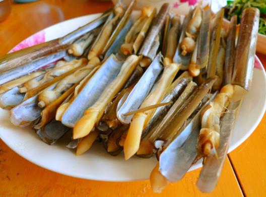 為什么撒鹽蟶子不出來?抓蟶子怎么撒鹽
