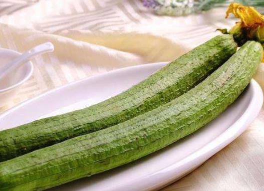 給絲瓜種子催芽哪些是要注意的?養絲瓜要注意什么