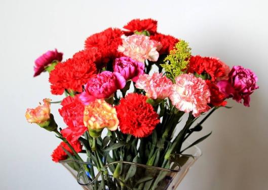 給康乃馨醒花有什么用?康乃馨買回來怎么醒花