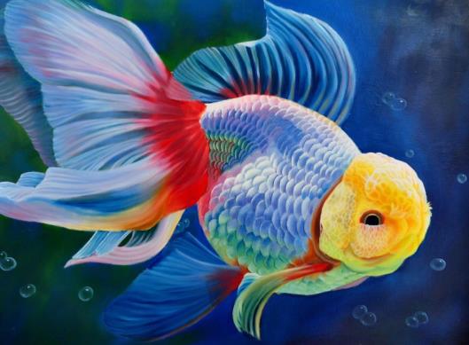 養金魚的自來水要放幾天?金魚沉底是在睡覺嗎