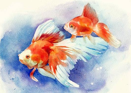 金魚吐泡泡會死嗎?金魚為什么浮上來吐泡泡