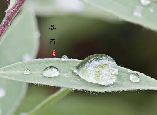2022年谷雨是幾月幾日幾時(shí)幾秒?2022年谷雨節(jié)氣天氣有什么變化