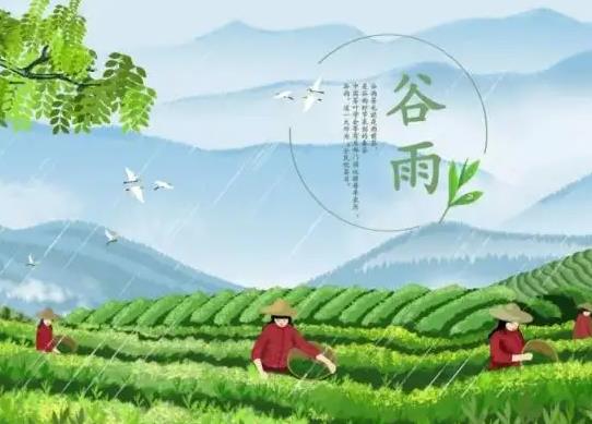 202谷雨后下雨以后是澇還是旱?2022谷雨過后天氣還會冷嗎