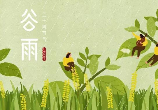 2022谷雨能不能種玉米?2022年谷雨是農歷幾月幾日