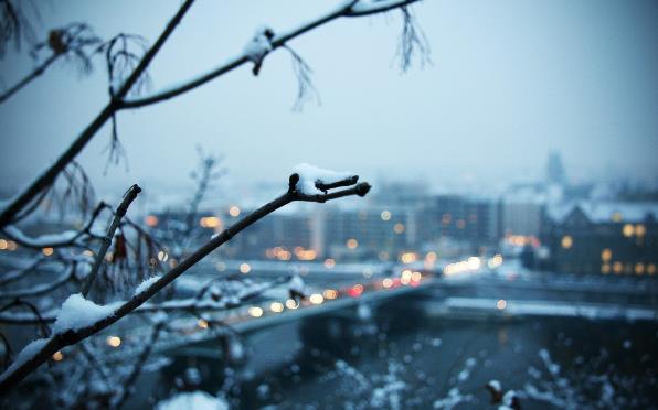 2020年冬天是最寒冷的一年嗎?2020年冬天比往年冷嗎