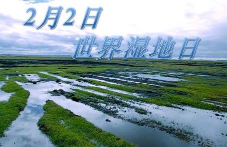 22ʲôգǎ