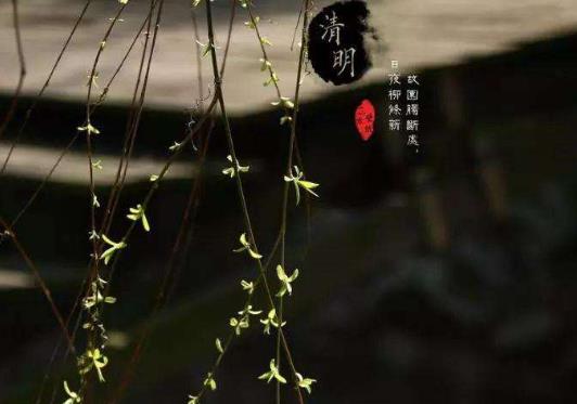 2022清明上墳用的饅頭點紅點還是黑點?清明上墳饅頭形狀有講究嗎