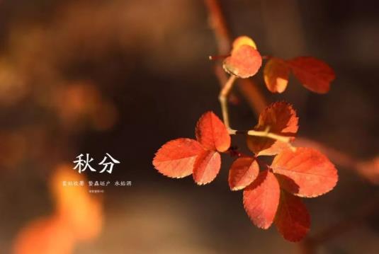 2021秋分后還會熱多久?2021秋分雨水多還是少?