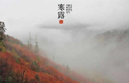 寒露是第幾個節氣?寒露有什么風俗習慣?