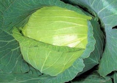 ܳԾĲˆԾĲʲô̎