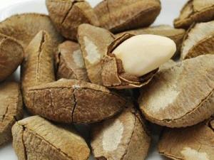 孕婦可以吃鮑魚果嗎？孕婦吃鮑魚果的食用禁忌