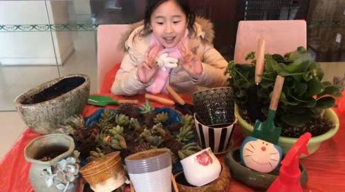 邀您參與錦江之星“植享驚喜妙趣”活動,讓我們為美化環境盡一份力