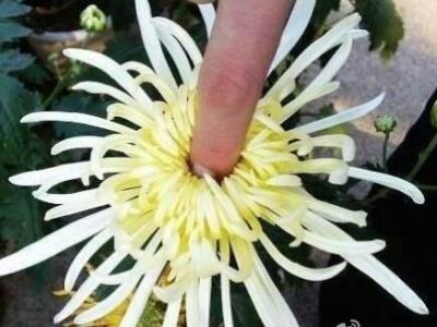 ջʲô˼ջʲô˼ʲôбջ