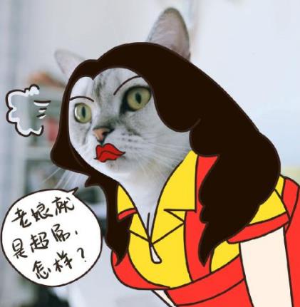 “鞭”長莫及是什么意思?鞭長莫及是什么梗?有什么內涵