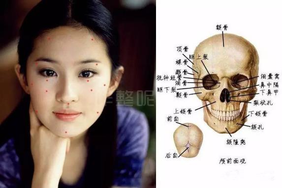 大餅臉是什么意思?一個人臉大的原因 大餅臉的瘦臉方法