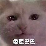 委屈巴巴是什么梗什么意思?貓咪委屈巴巴賣(mài)萌表情包(全)