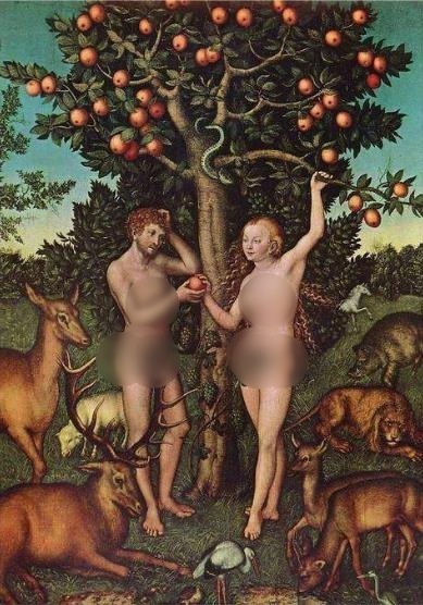 禁果是什么意思?禁果是什么水果?禁果效應(yīng)是什么意思?
