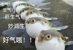 對(duì)不起了行了吧是什么意思?原來“對(duì)不起行了吧”的意思不是對(duì)不起