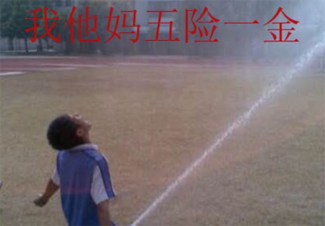 我他媽五險一金是什么意思什么梗 我tm五險一金