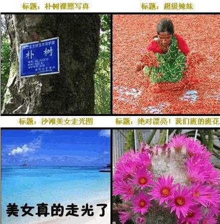 傳說(shuō)中的“UC震驚部”是什么意思什么梗 歡迎你明天到UC震驚部上班