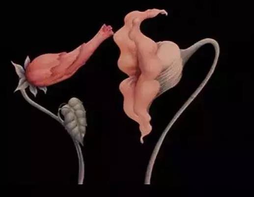 女生說(shuō)3%是什么意思什么梗 百分之三的污內(nèi)涵意思