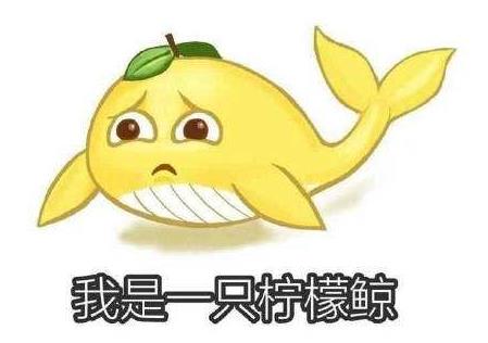 《咬文嚼字》編輯部發布2019年十大最火網絡流行語 996我太南/難了